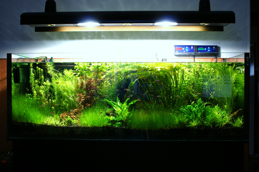DSC00462min.jpg
