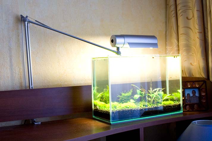 lamp.jpg