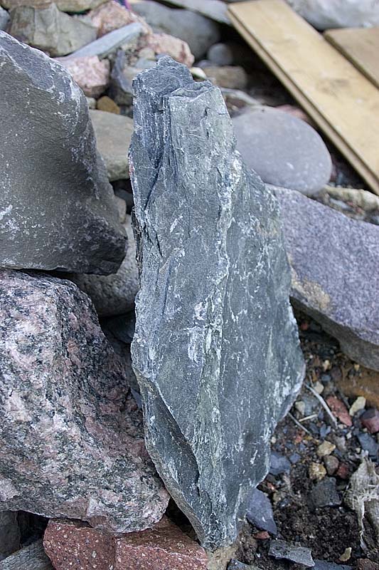 CRW_9825.jpg