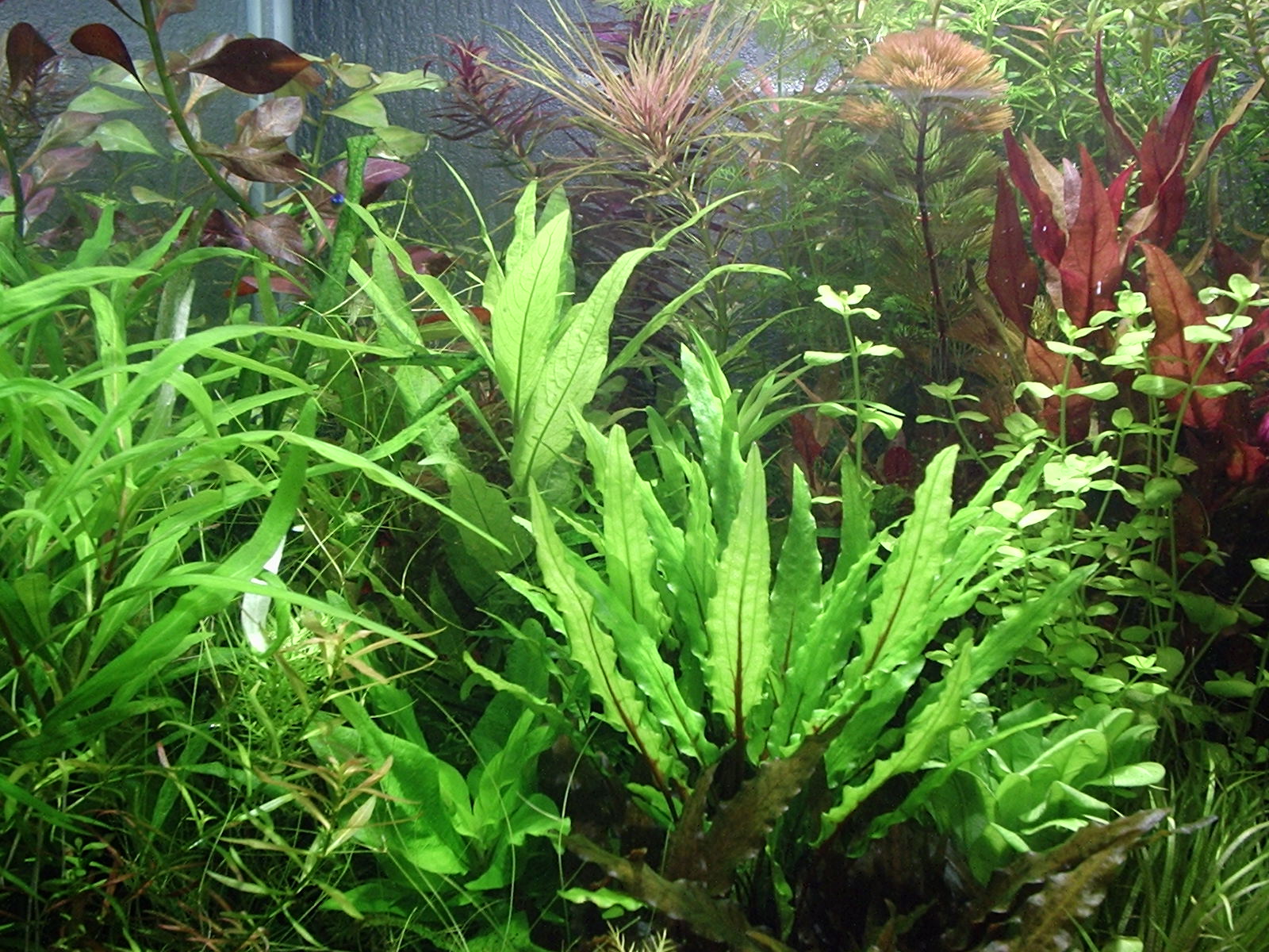 P1011855.JPG