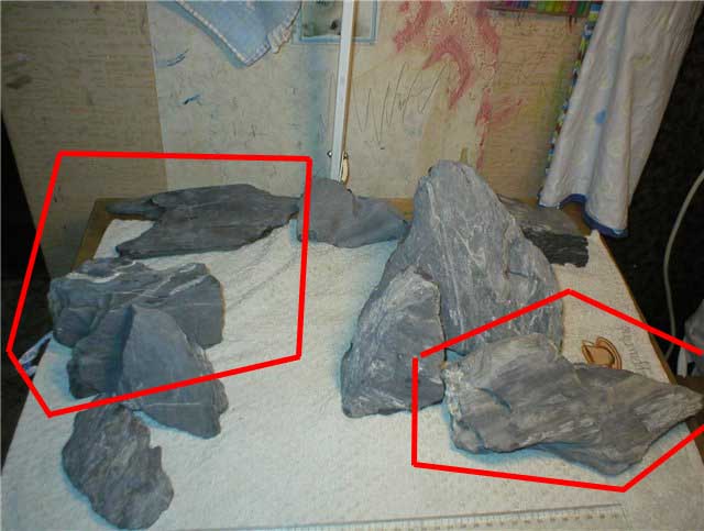 Untitled-1.jpg