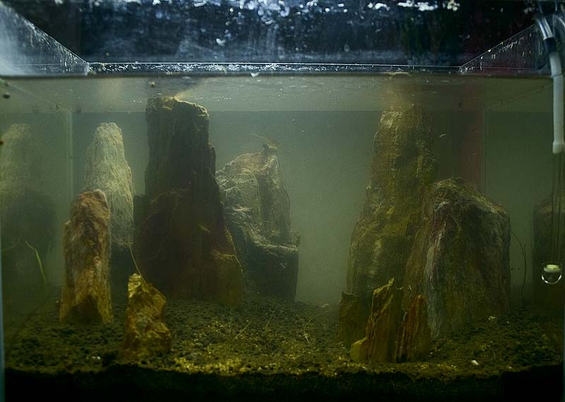 CRW_0247.jpg
