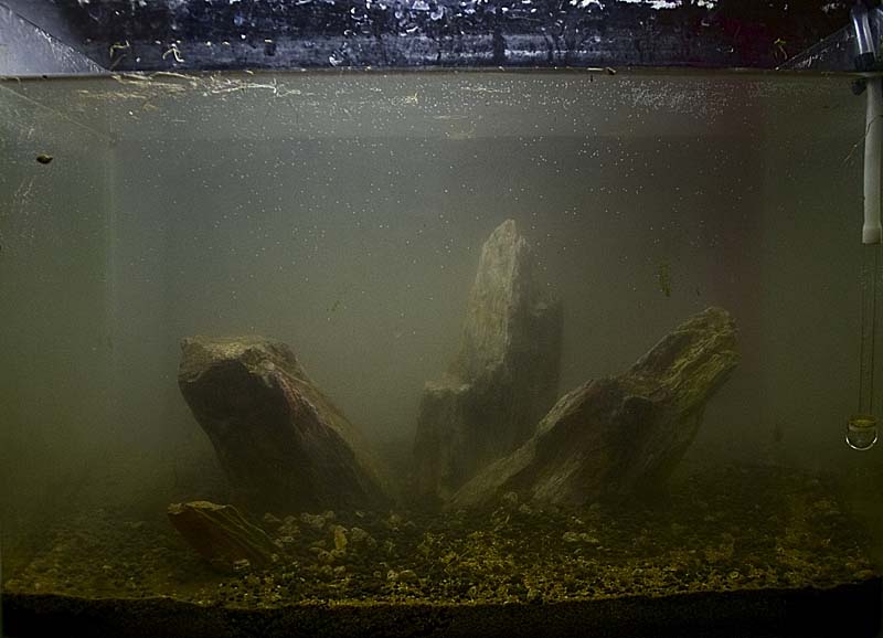 CRW_0248.jpg