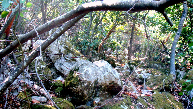   кемер 2009 093.jpg