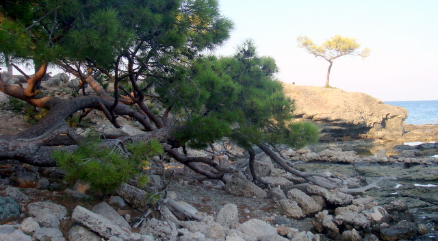   кемер 2009 203.jpg