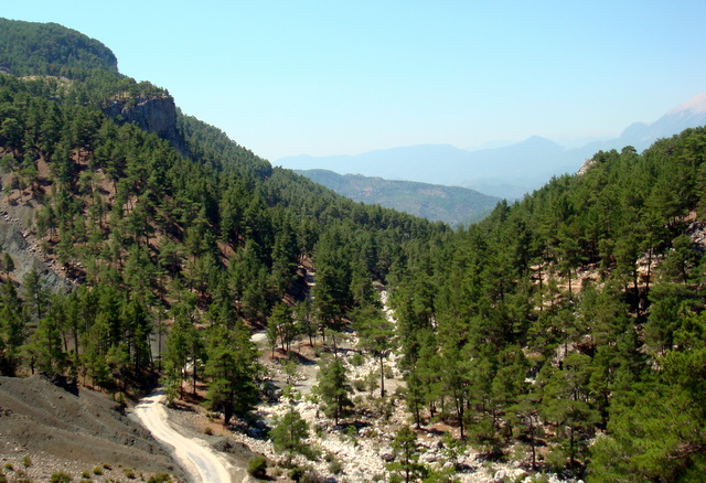   кемер 2009 356.jpg