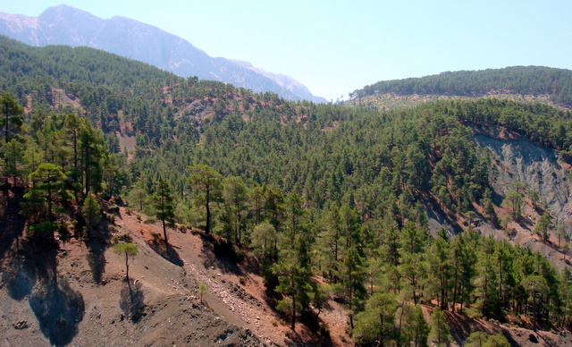   кемер 2009 358.jpg