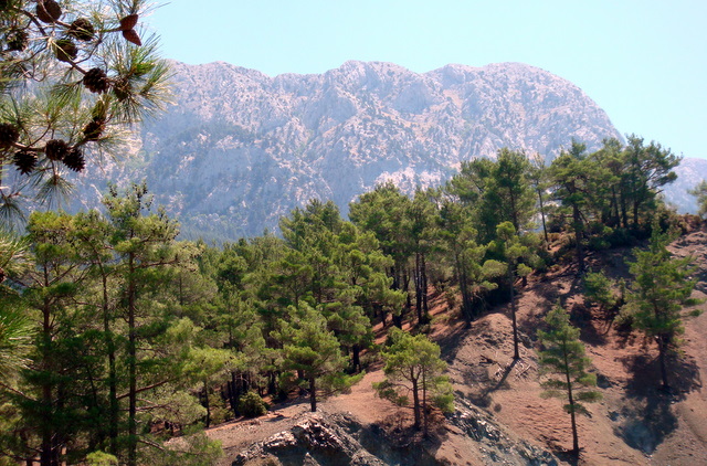   кемер 2009 368.jpg