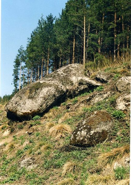 img019.jpg