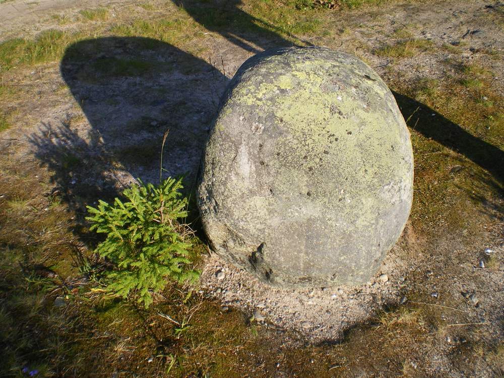 IMGP2736.JPG