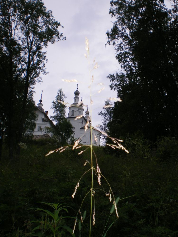 IMGP3119.JPG