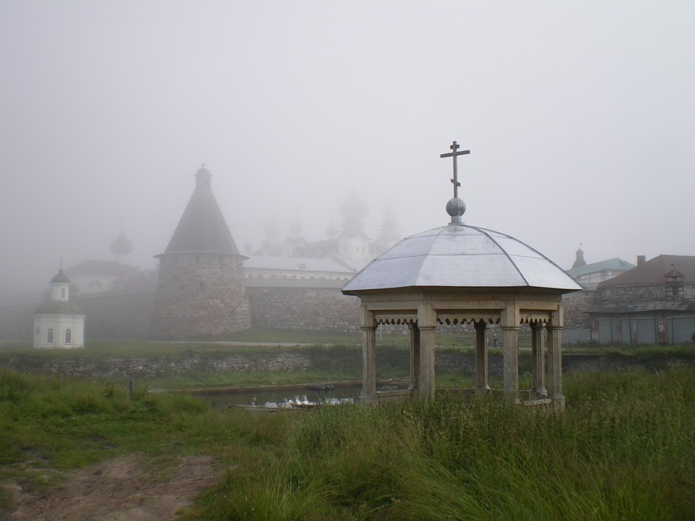 IMGP3153.JPG