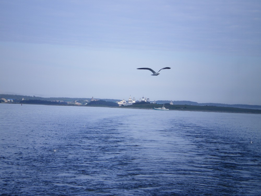 IMGP3227.JPG