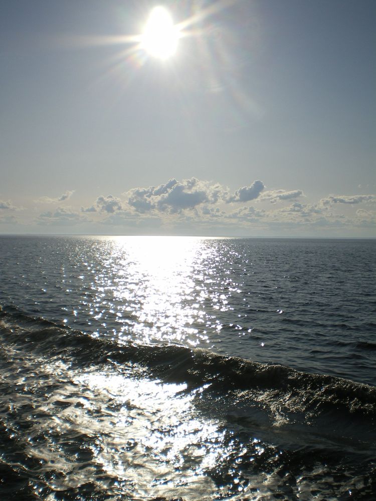IMGP3332.JPG