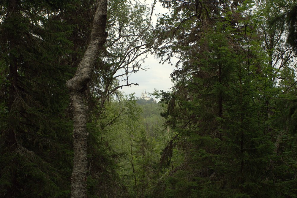 38.jpg