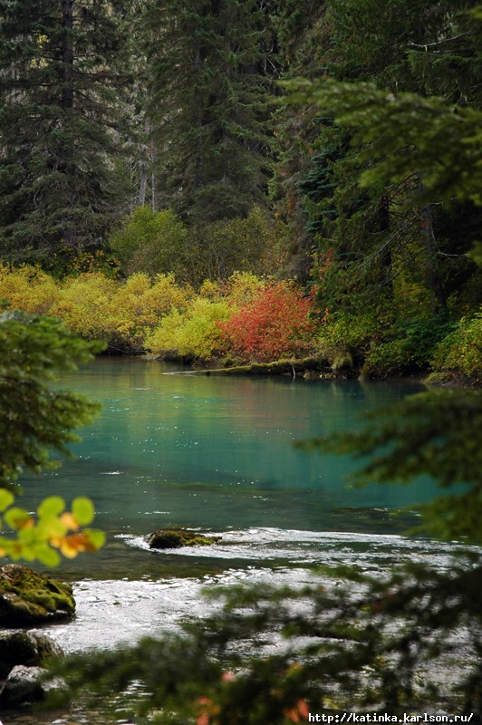autumn_colors_in_the_river_l.jpg