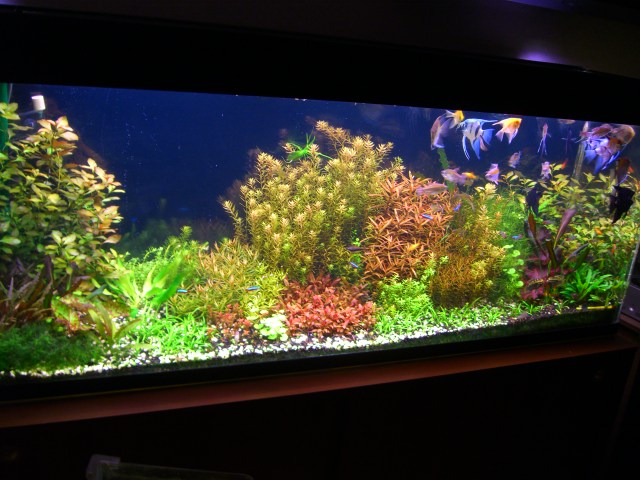  2005 4689.jpg