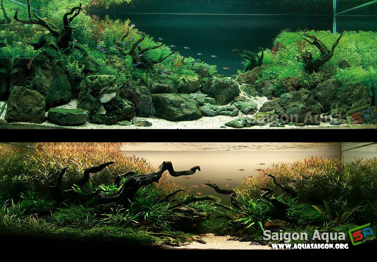 2008-9_vs_2009-1.JPG
