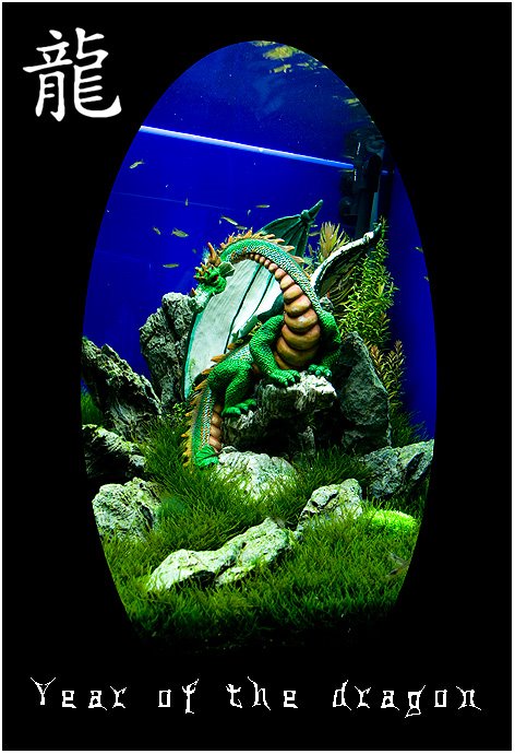 dragon.jpg