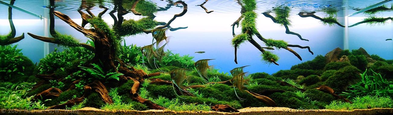 AGA_2009_L_1.jpg