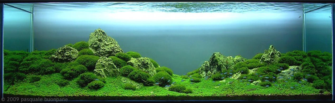 AGA_2009_XL_HM_1.jpg