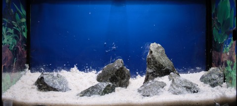 New_New_IMG_0438.jpg