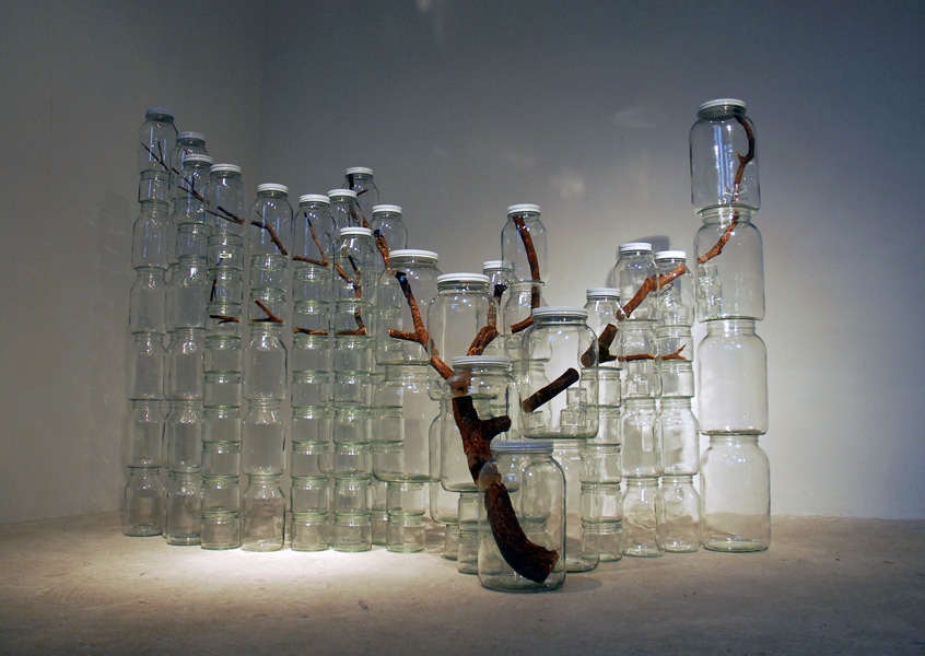 Urnban-nature-2009-ubiquitous.jpg