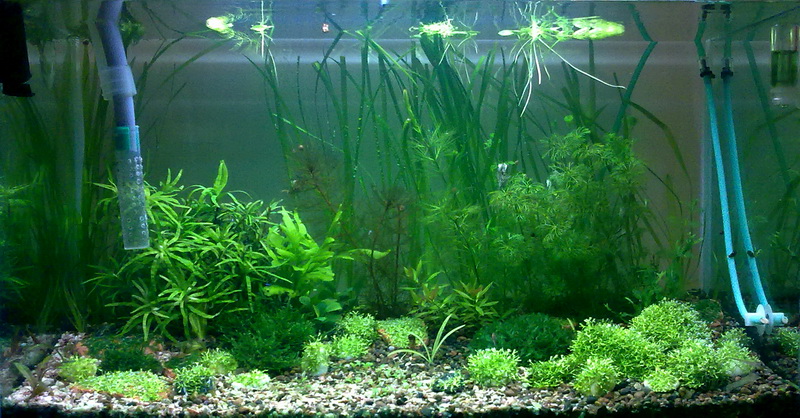 09022010018.jpg