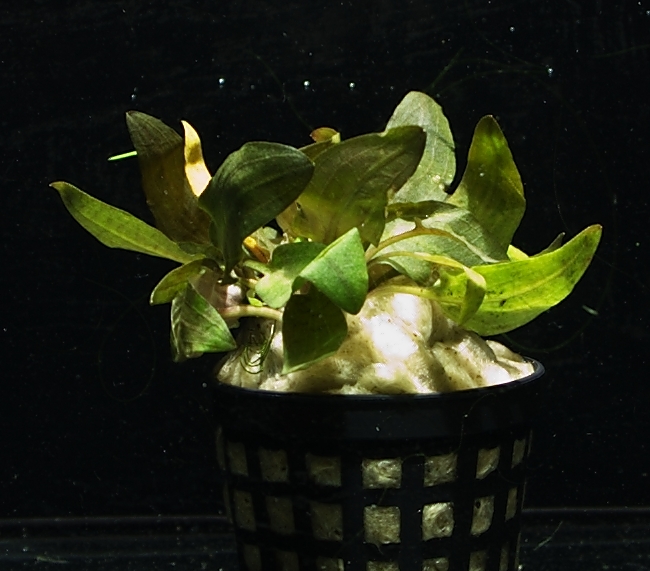 CRW_3368.jpg