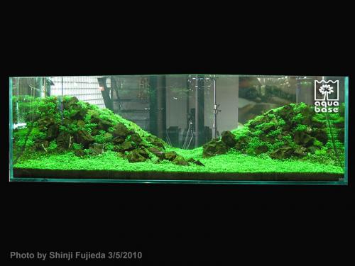 1e1be40b3a27fca5bec18c38677ba628-image_aquabase.jpeg