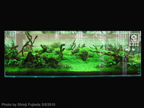 4bc66a58aa49e81183d11276a4db1a4c-image_aquabase.jpeg