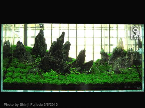 5d1e07391ea05c9fee90e9d5fba7db1d-image_aquabase.jpeg
