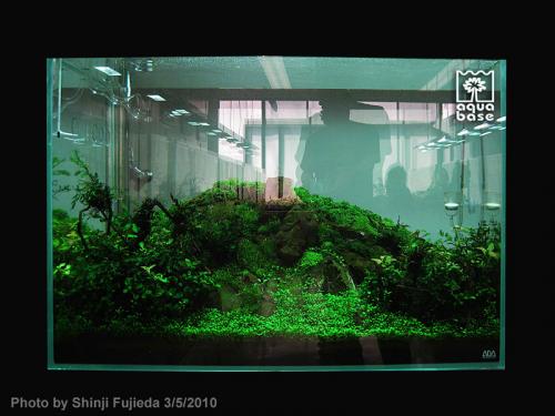 6eb3f004f8e6017e806771e2c6293459-image_aquabase.jpeg