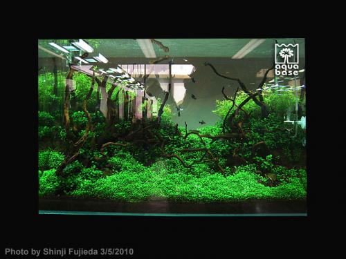 13b91354ee93da944dd04b2e3591b06f-image_aquabase.jpeg