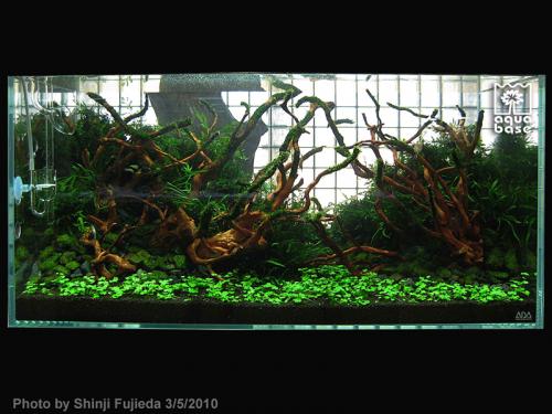 35c8192dae422b240a91bfa7d19ad18c-image_aquabase.jpeg