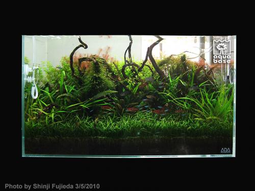 99c310e71c700cf4d8b2f2d2c099415a-image_aquabase.jpeg