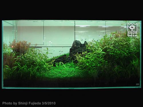 361ecf8ad0f3701f4997485e8e8a2933-image_aquabase.jpeg