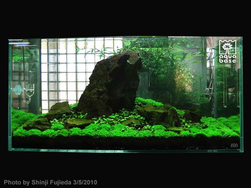 959fd7e1a8a723d6de404dcce16f3da7-image_aquabase.jpeg