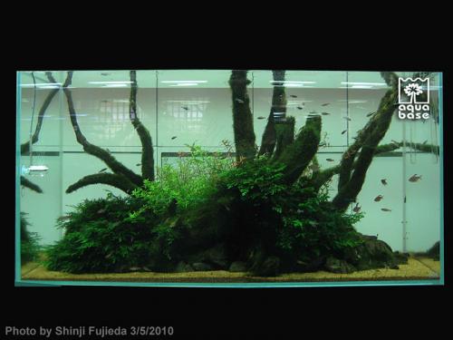 74350c4c8b80820680345083fb0e1c57-image_aquabase.jpeg