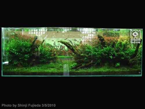 a875f56695f7e6a07a19d90c0b2b05fc-image_aquabase.jpeg