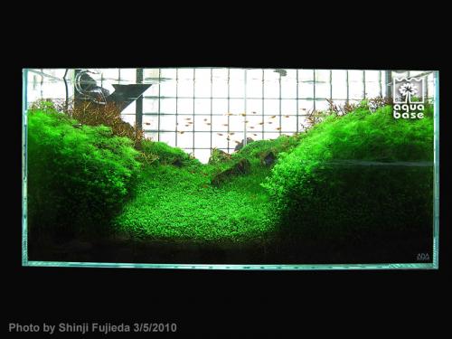 a371472e468789b81b41942023f169b5-image_aquabase.jpeg