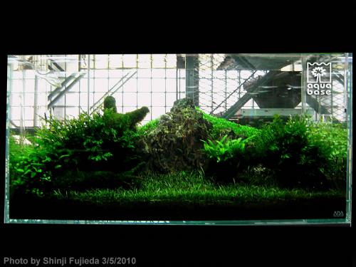 a3599226409f00509f163f144b361baf-image_aquabase.jpeg