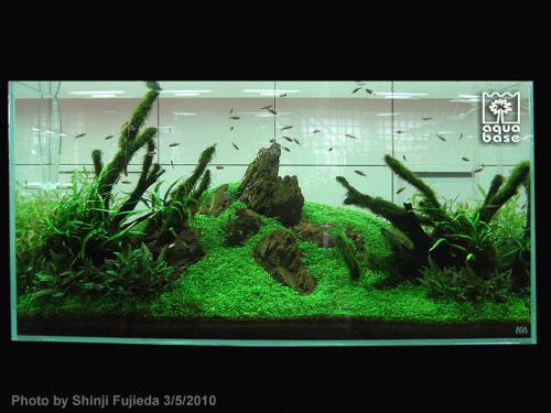 ab928587978c4d9979dd4e33dad520b7-image_aquabase.jpeg
