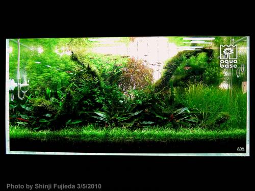 af951cd87fb6d6d80eb5d1c70595c94a-image_aquabase.jpeg