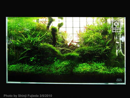 c5c144bd2f752a898bcd741b19e20d89-image_aquabase.jpeg