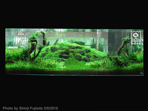 c7c3ccbd2062191eeeefb39df8adcde9-image_aquabase.jpeg