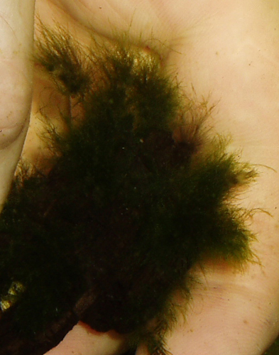 P1010015.JPG