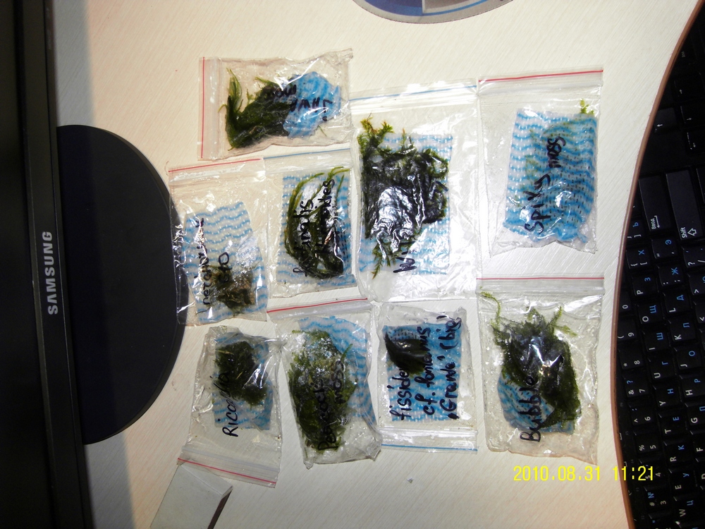 SDC101271.jpg
