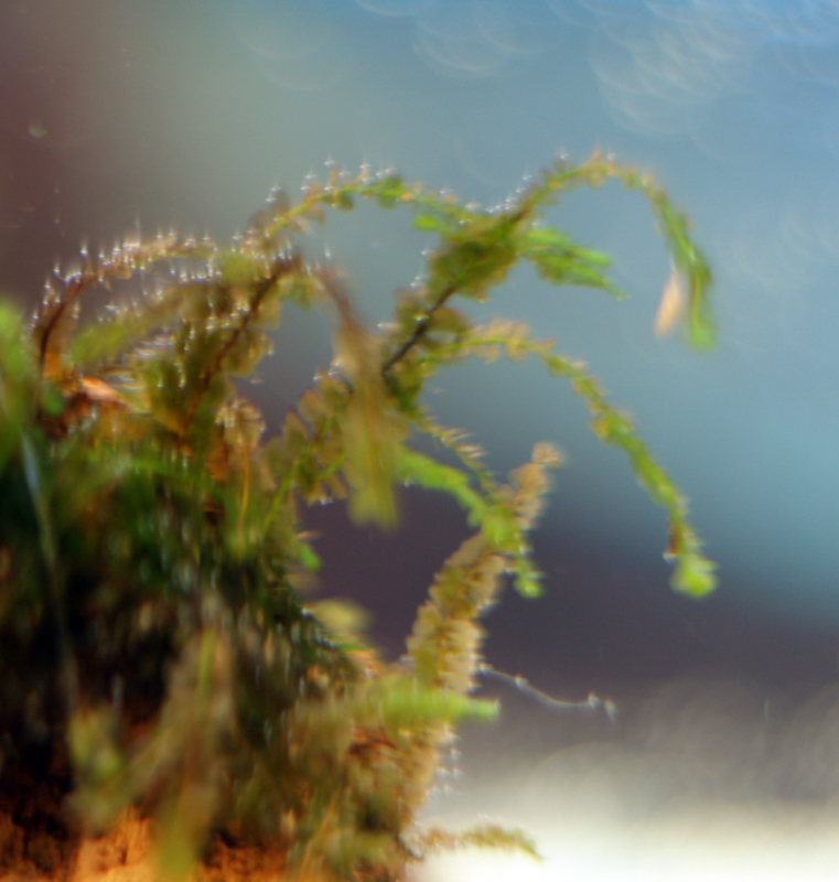 P9102438-1.jpg