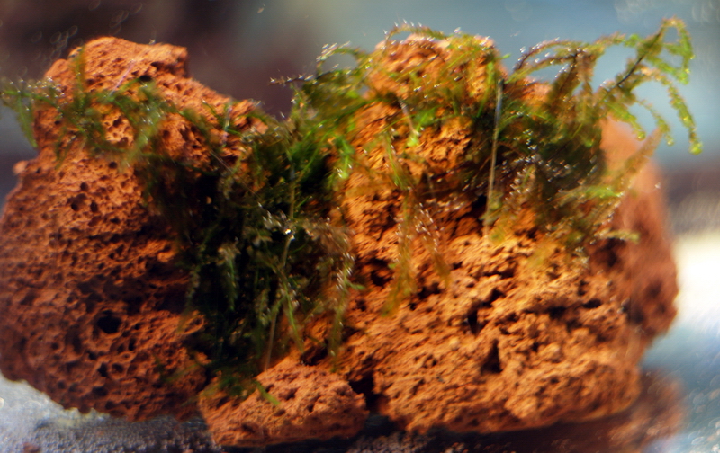 P9102449-1.jpg